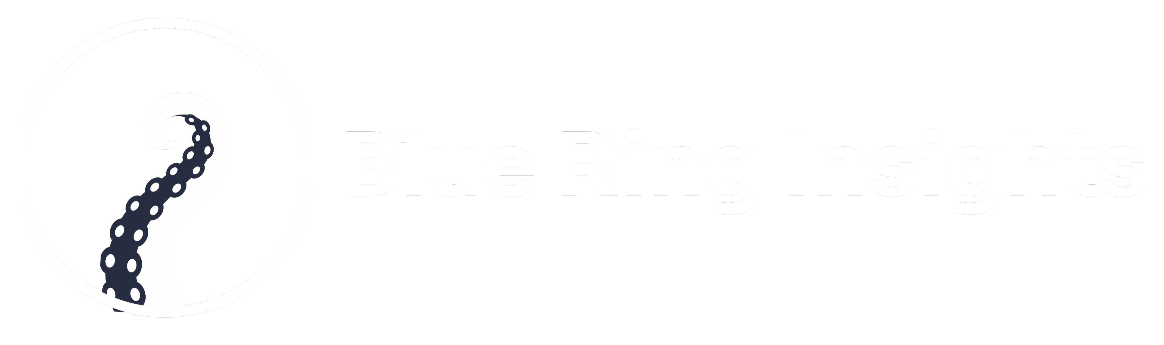 Blue Ring Insights logo — sports tech UX research firm