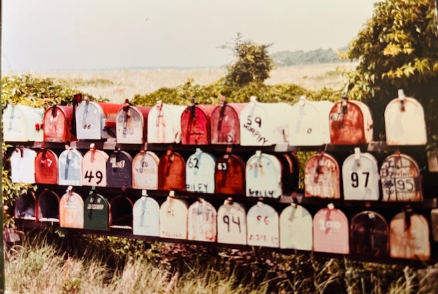 Iconic Painted Mailboxes