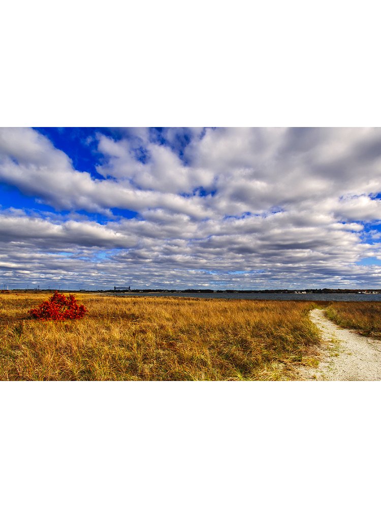Path to THE HUT!