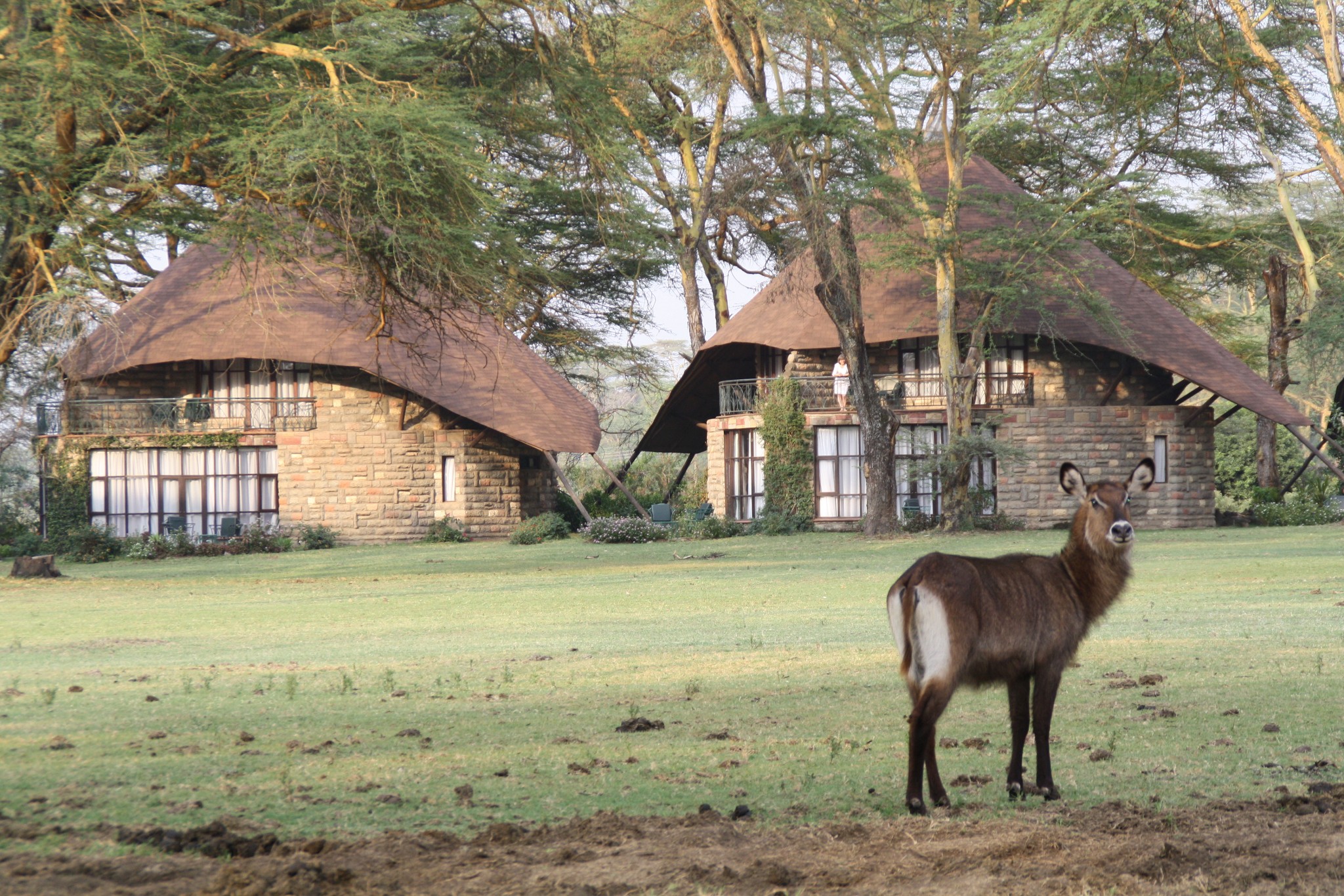 Kenya Adventure Safaris, YHA Kenya Travel,Active Adventures, Journeys, Destinations.