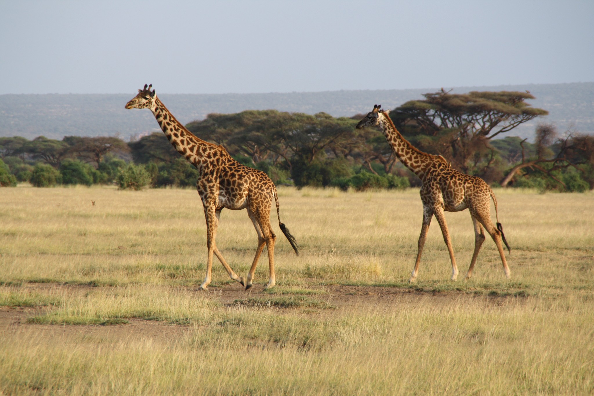 YHA Kenya Travel/Kenya Adventure Safaris/Group Tours Safaris/ Small Group Adventures/ Group Guided Tours Safaris.