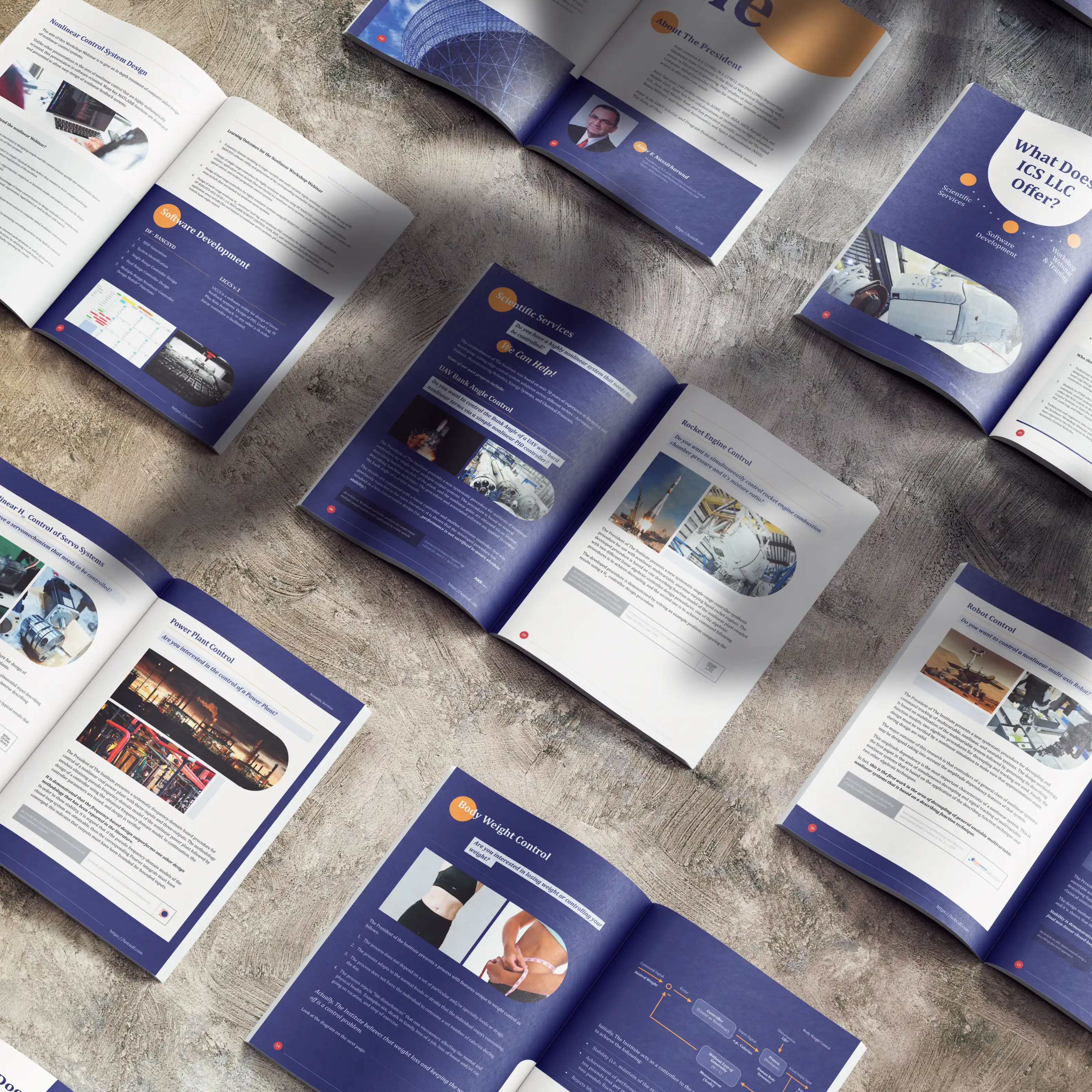 ICS LLC Company Profile and Report Mockup 009
