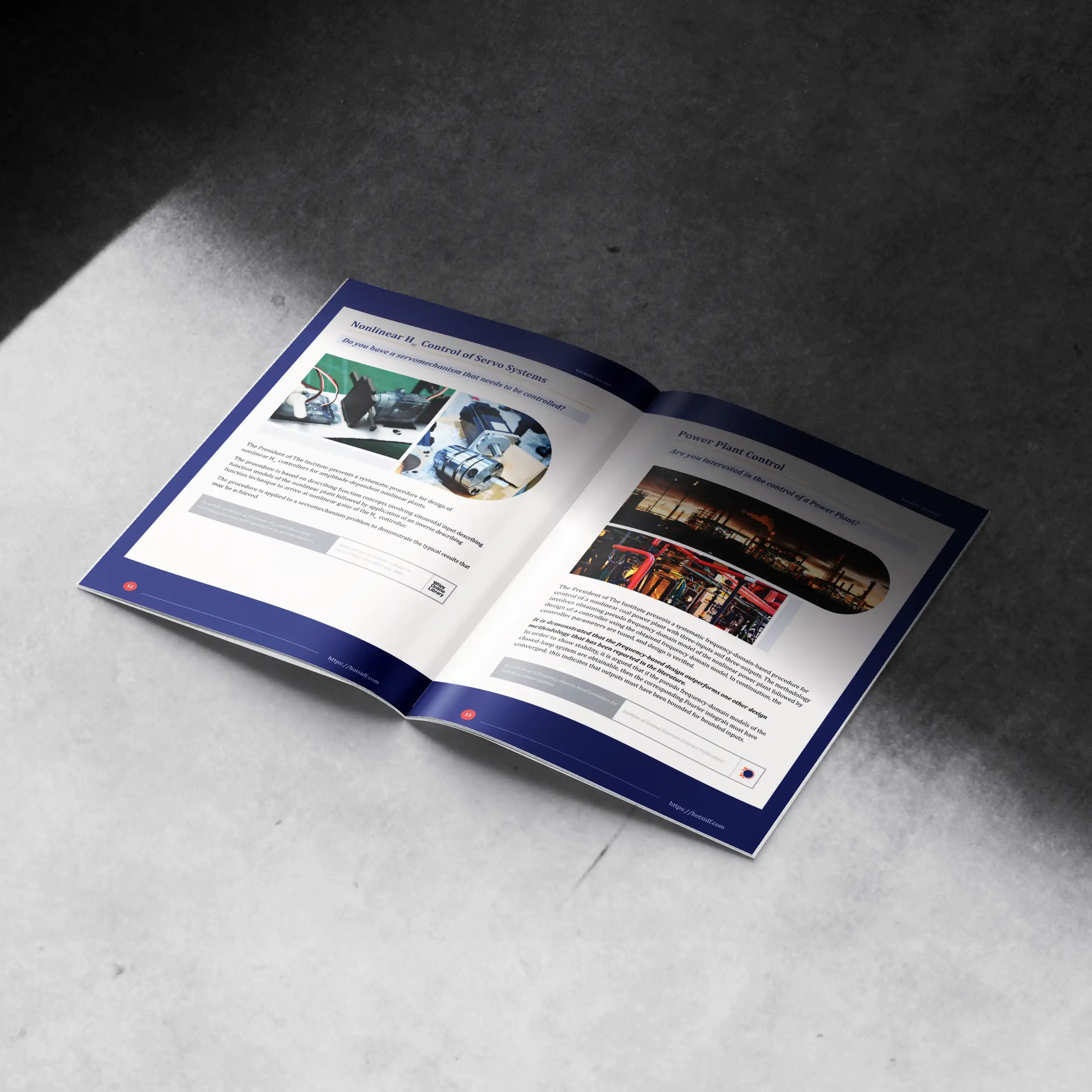 ICS LLC Company Profile and Report Mockup 008