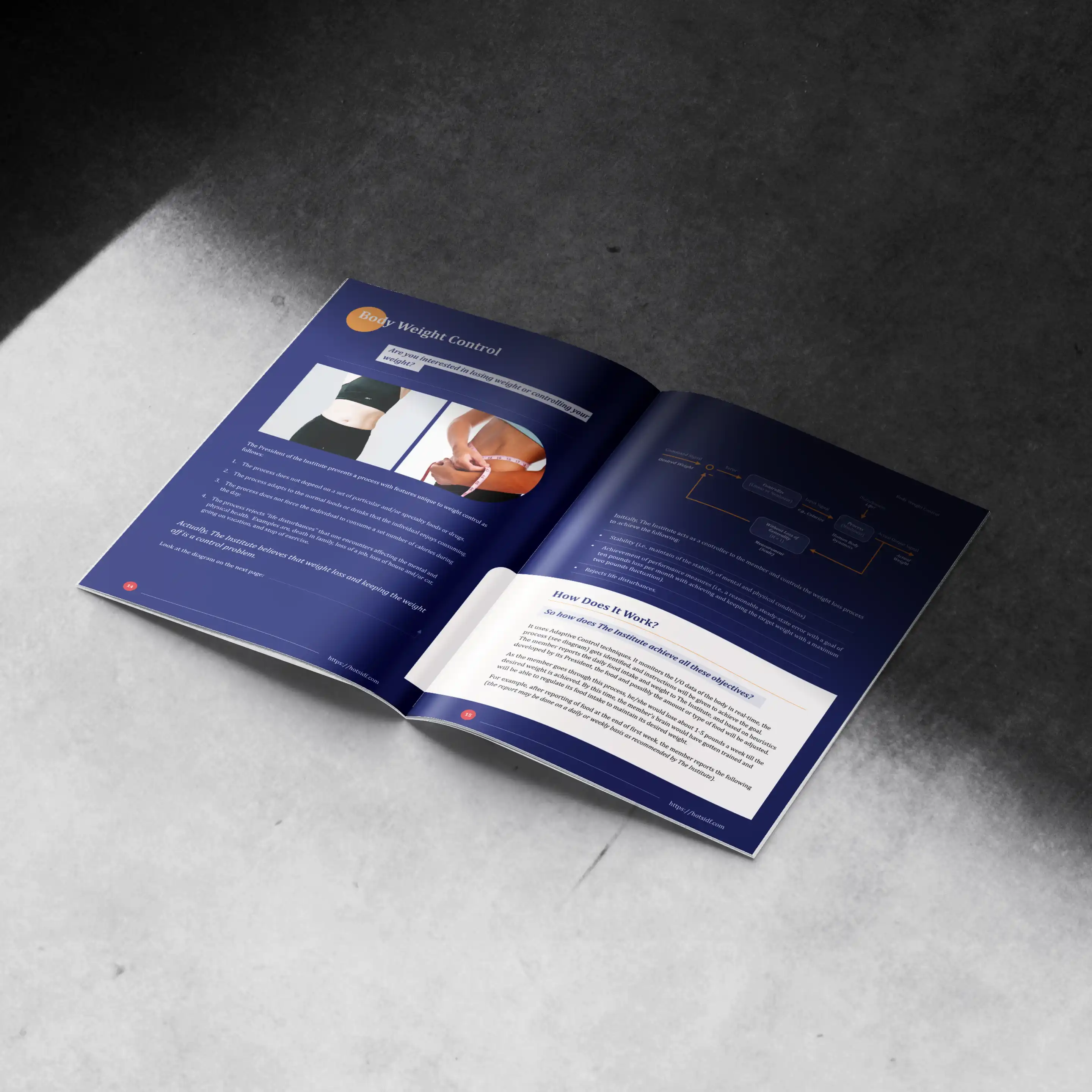ICS LLC Company Profile and Report Mockup 006