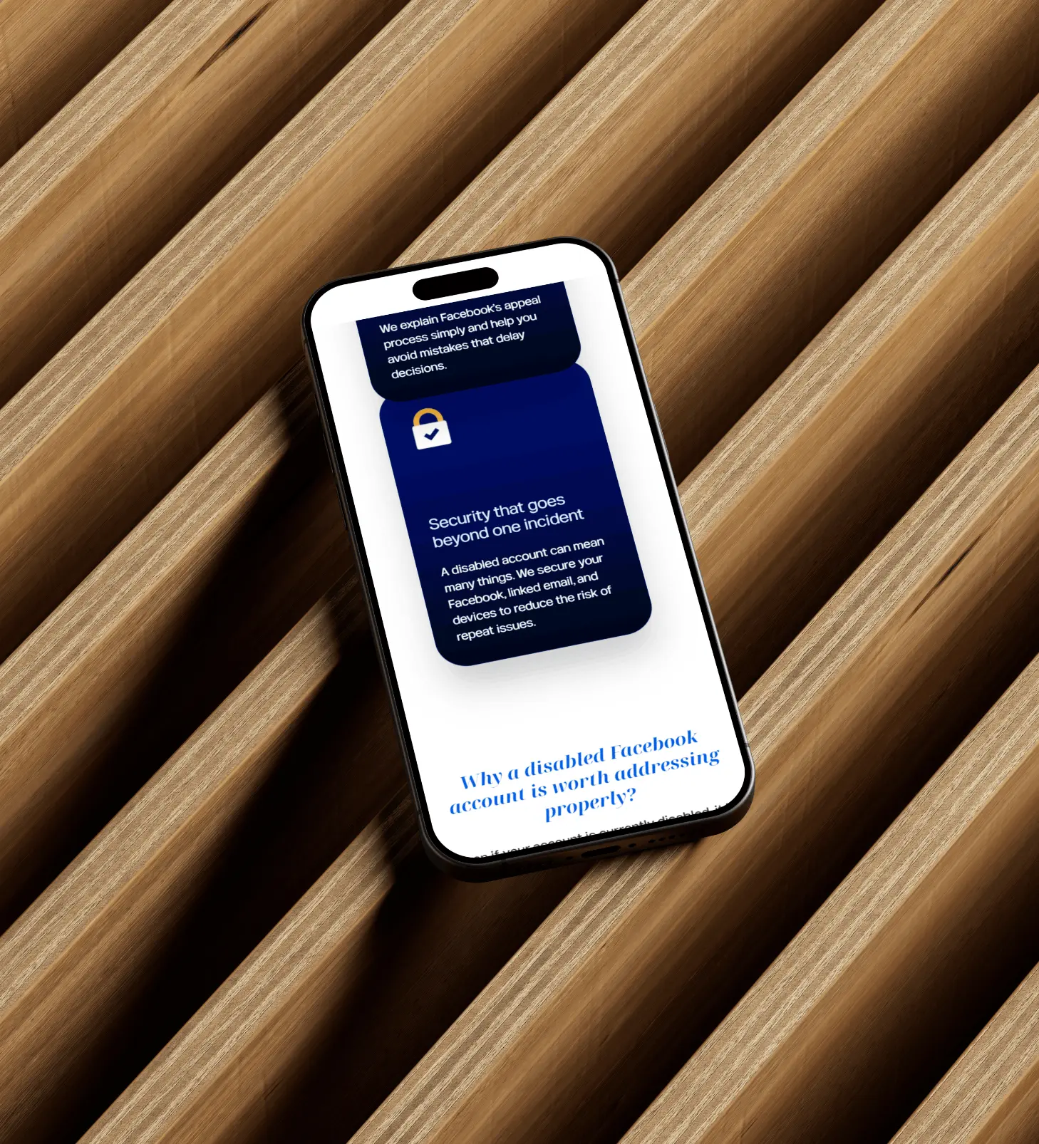 Safetynet Cyber Security Mobile Website 003
