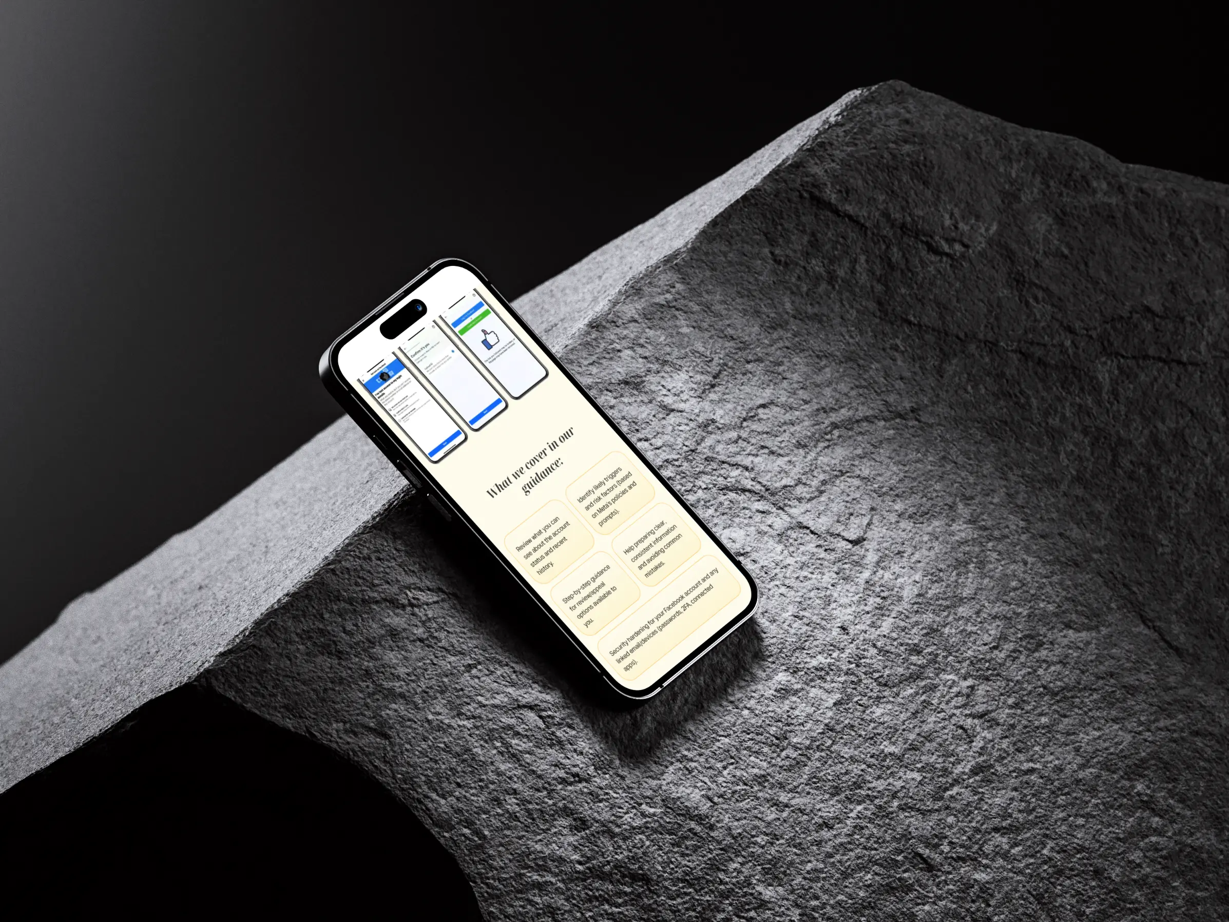 Safetynet Cyber Security Mobile Website 008