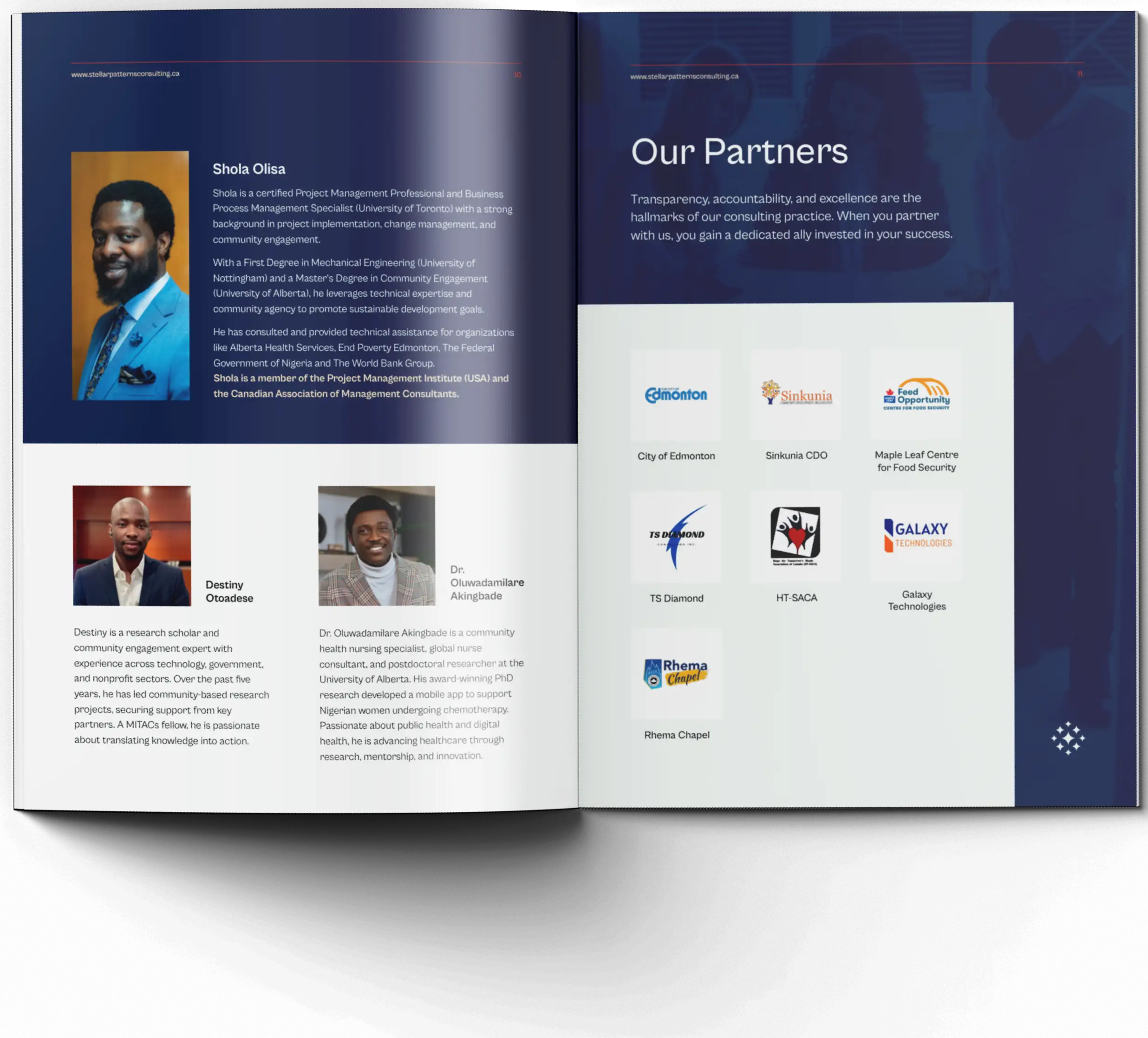 Stellar Patterns Consulting Company Profile Cutout Mockup 003