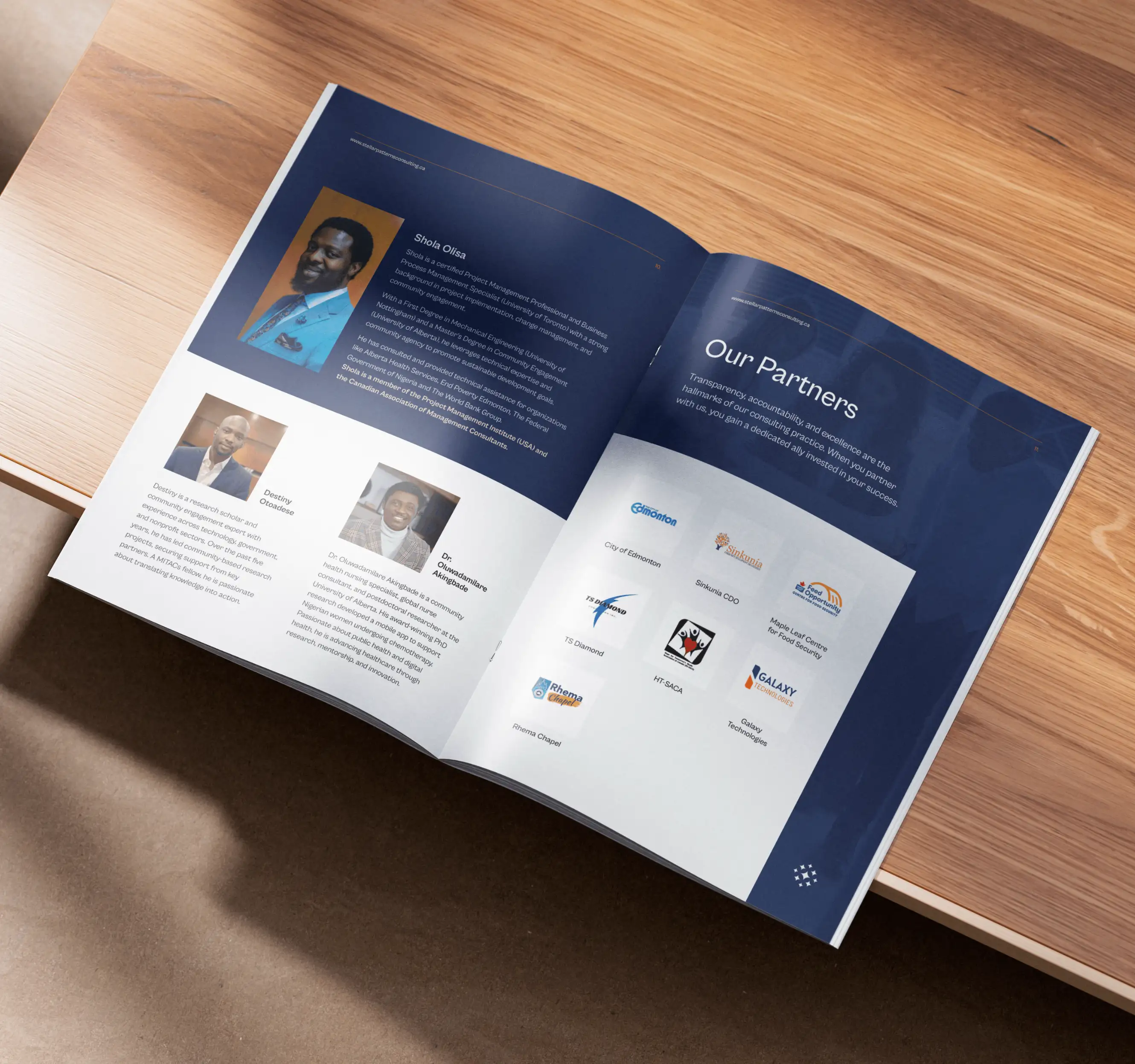 Stellar Patterns Consulting Company Profile Mockup 001