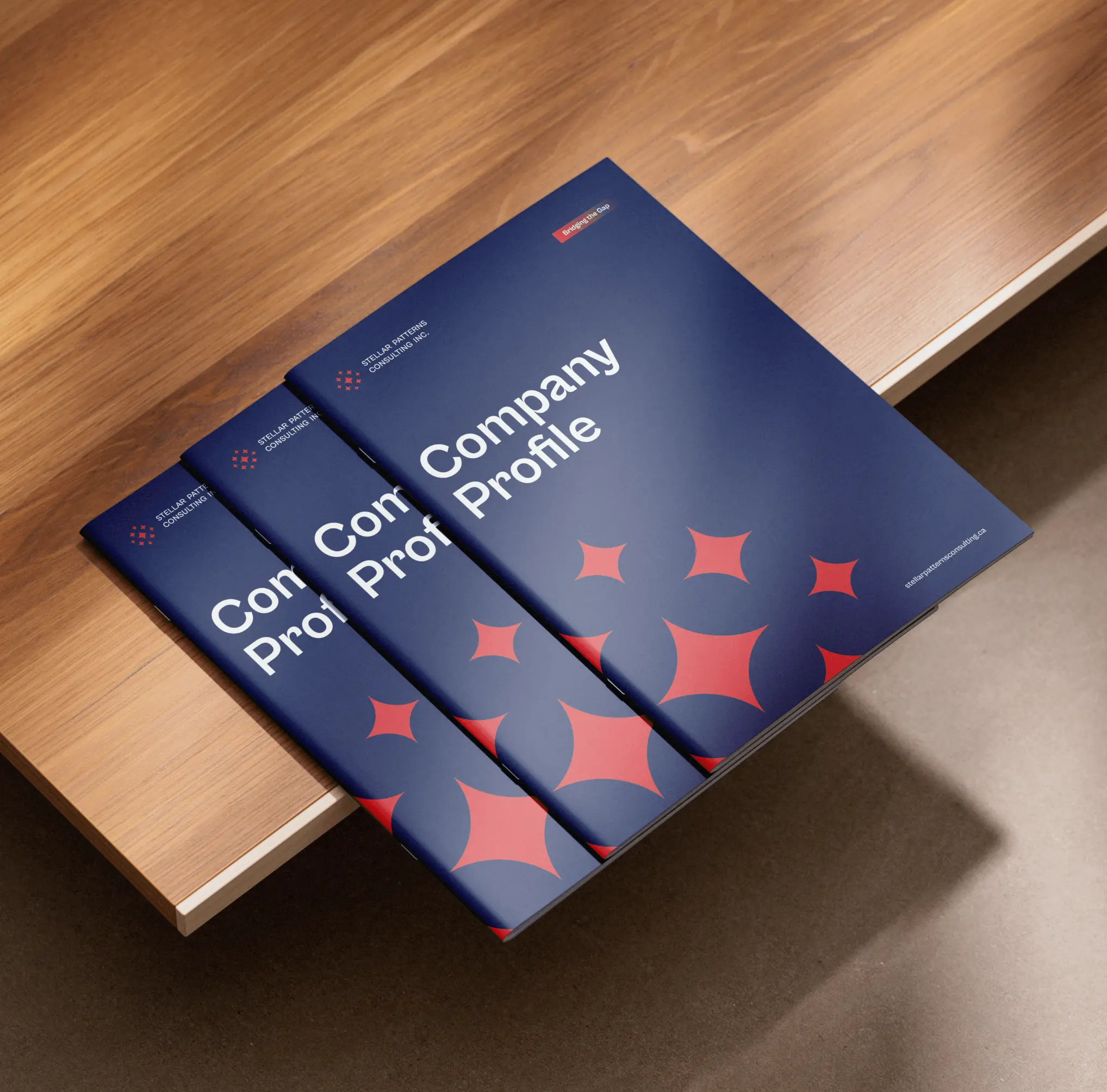 Stellar Patterns Consulting Company Profile Mockup 002