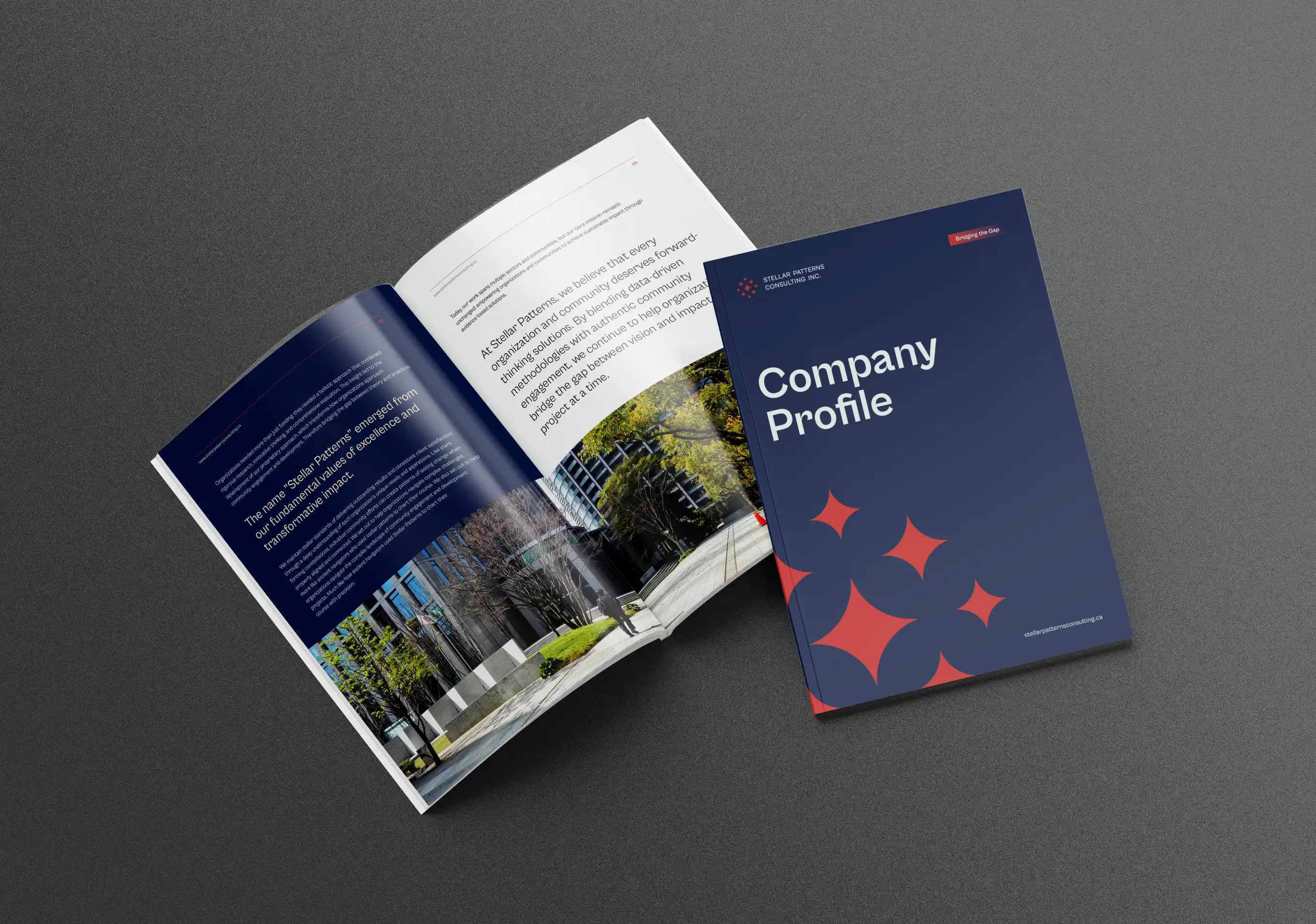 Stellar Patterns Consulting Company Profile Mockup 006