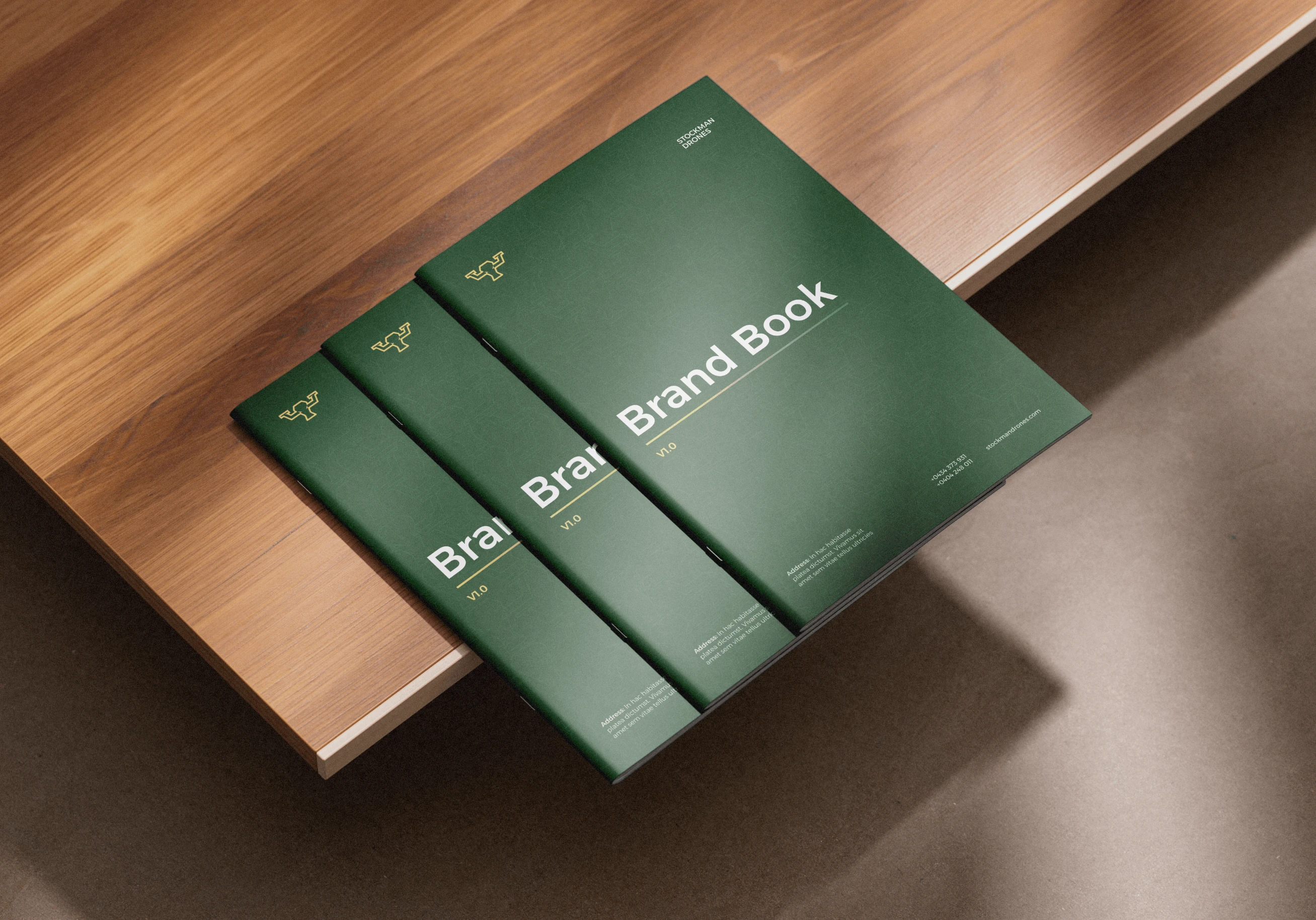 Stockman Drones Brand Book Mockup