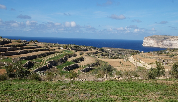 Sanap Cliffs Gozo