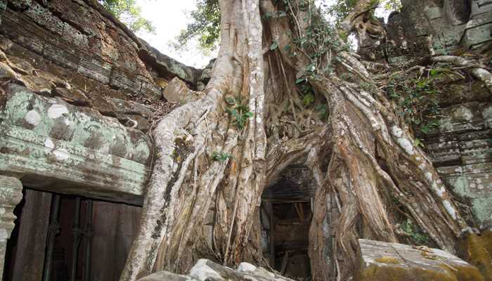 Ta Prohm tempel