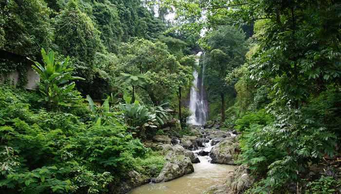 Gitgit Waterfall