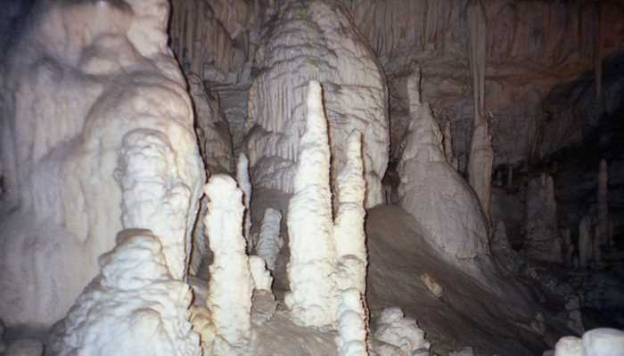 De Grotten van Postojna