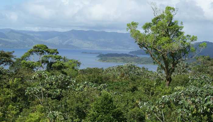 Arenal Meer