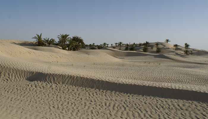 Woestijn in Tunesië