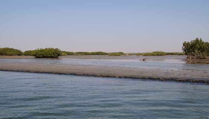 Saloum delta