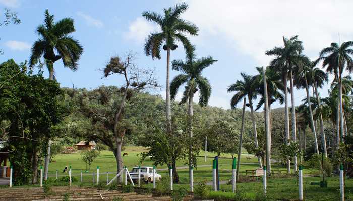 Valle de Vinales.