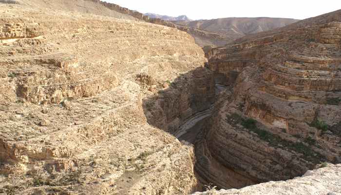 Tamerza Canyon