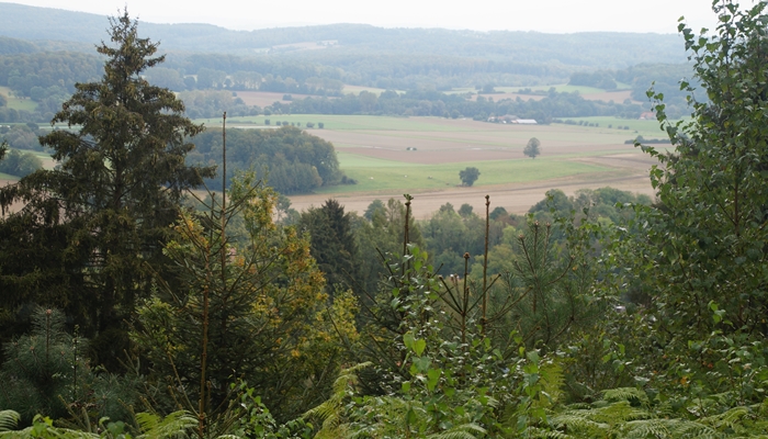 Sauerland