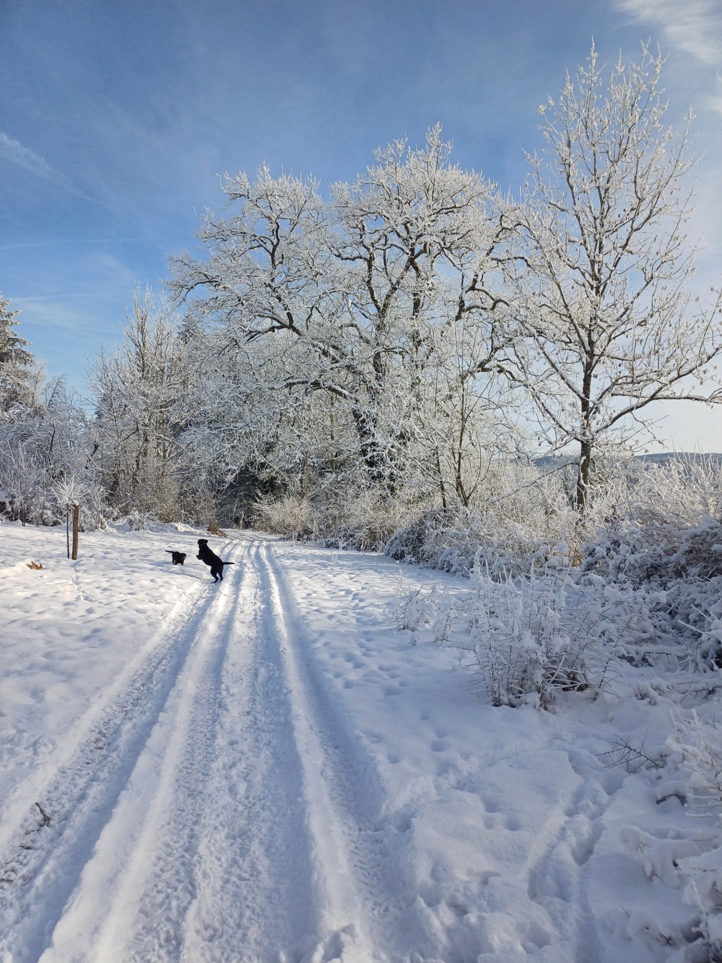 petite promenade sur le terrain
