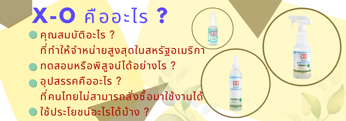 X-O คืออะไร ?