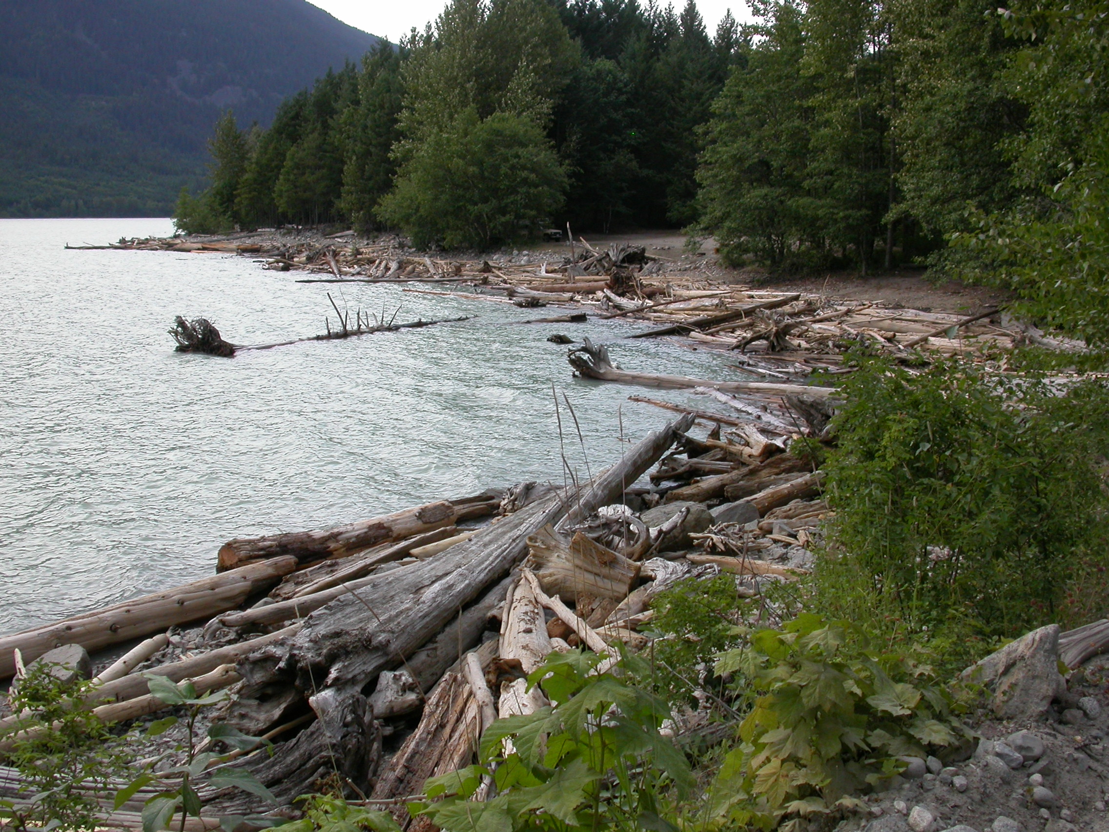 Harrison Lake