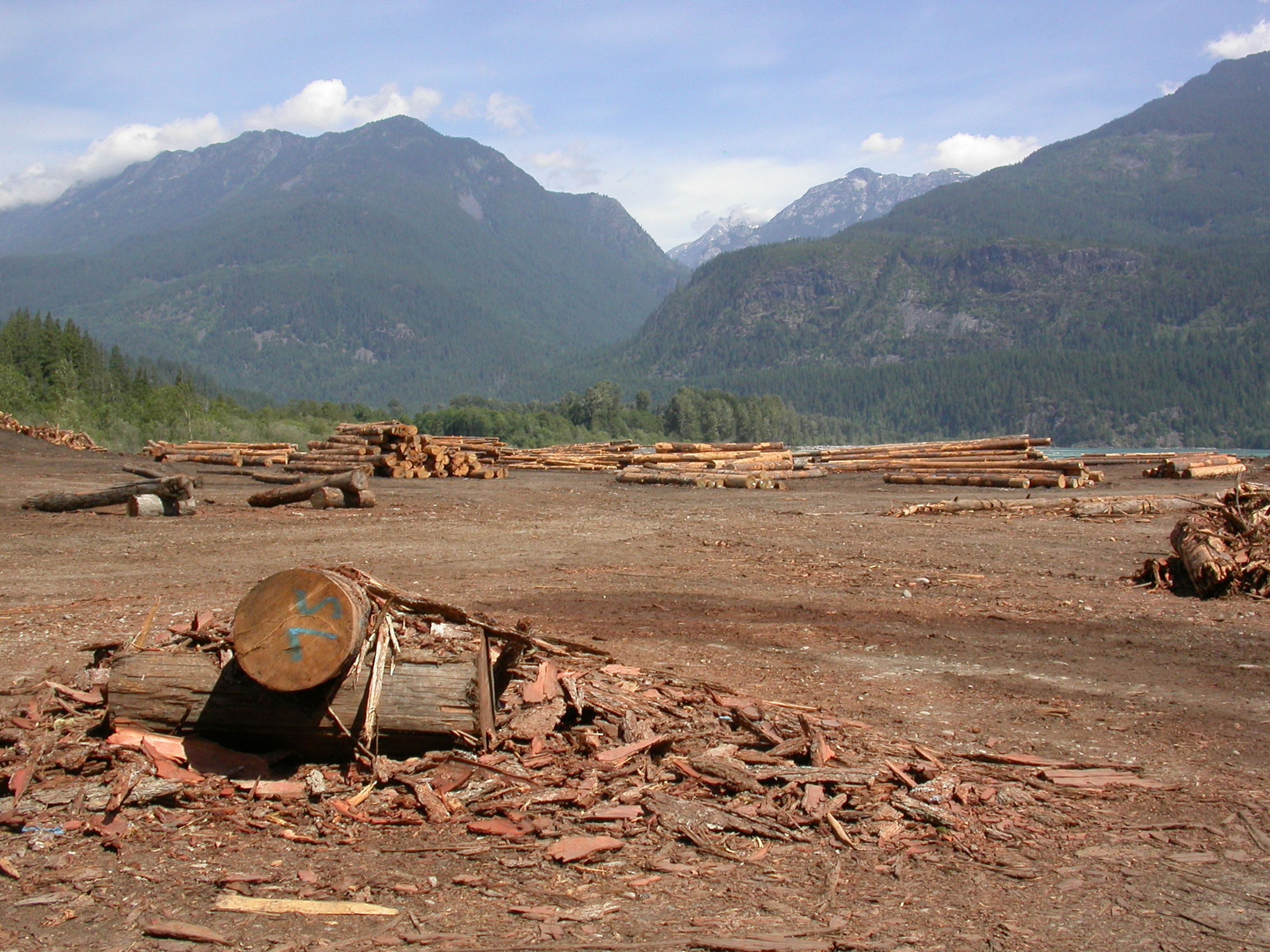 Old Logging Camp