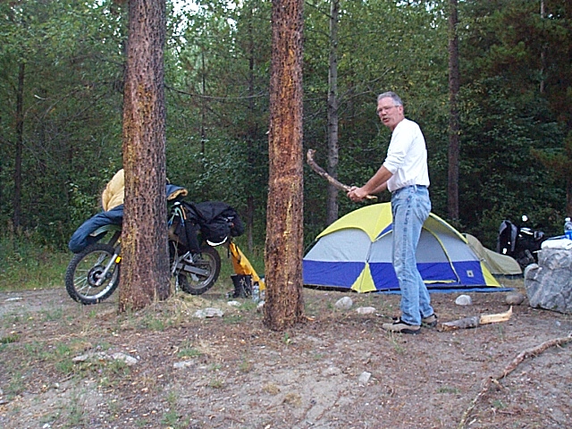 Larry disciplining a tree