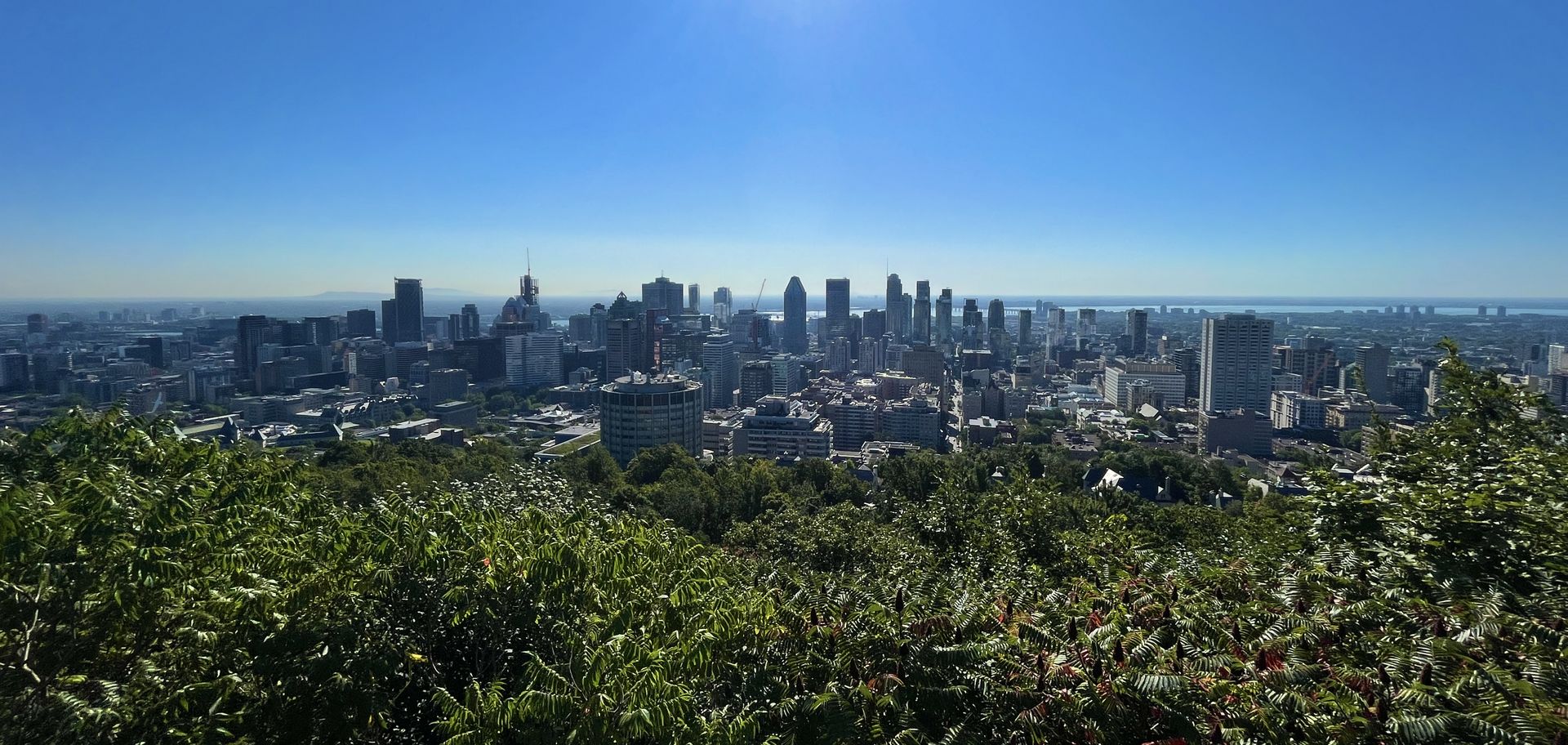 A picture that I took in Montreal, it shows the city&apos;s skyline.