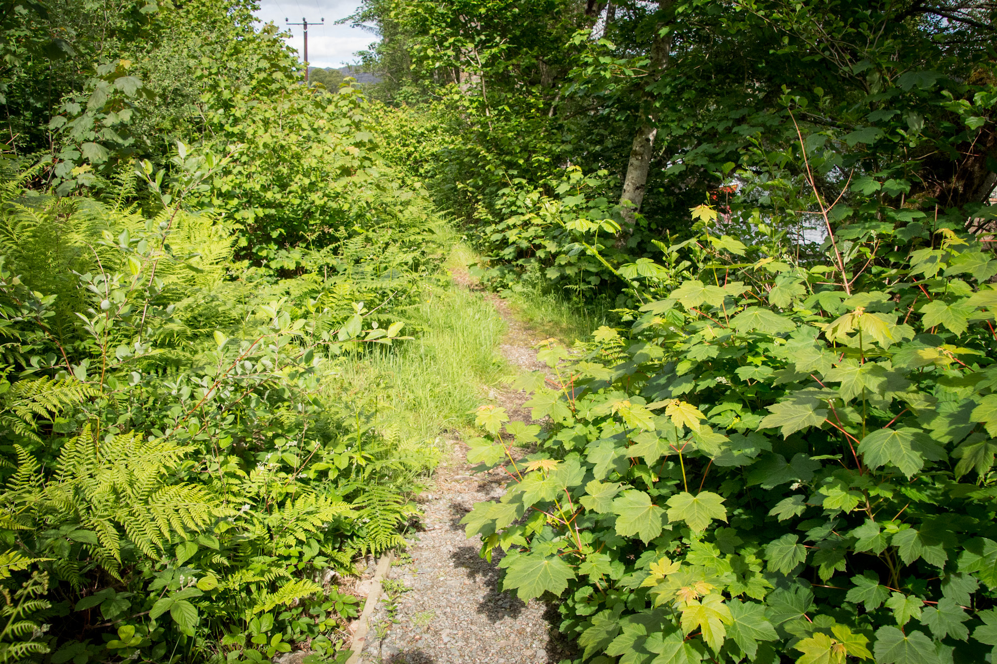 Pathway