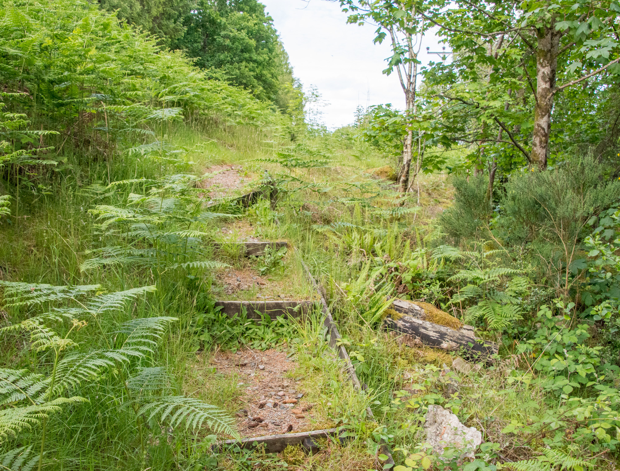 Path