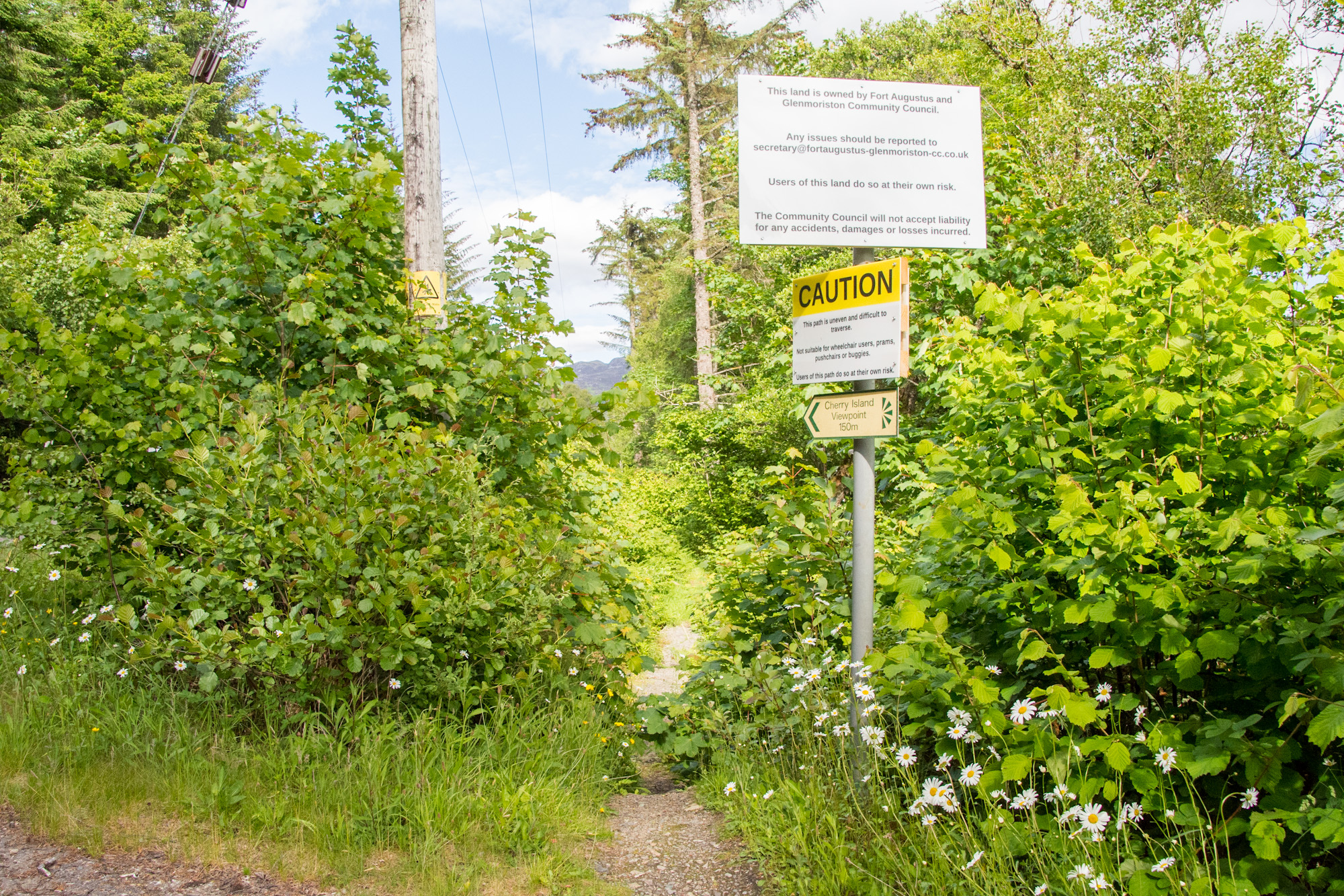Path