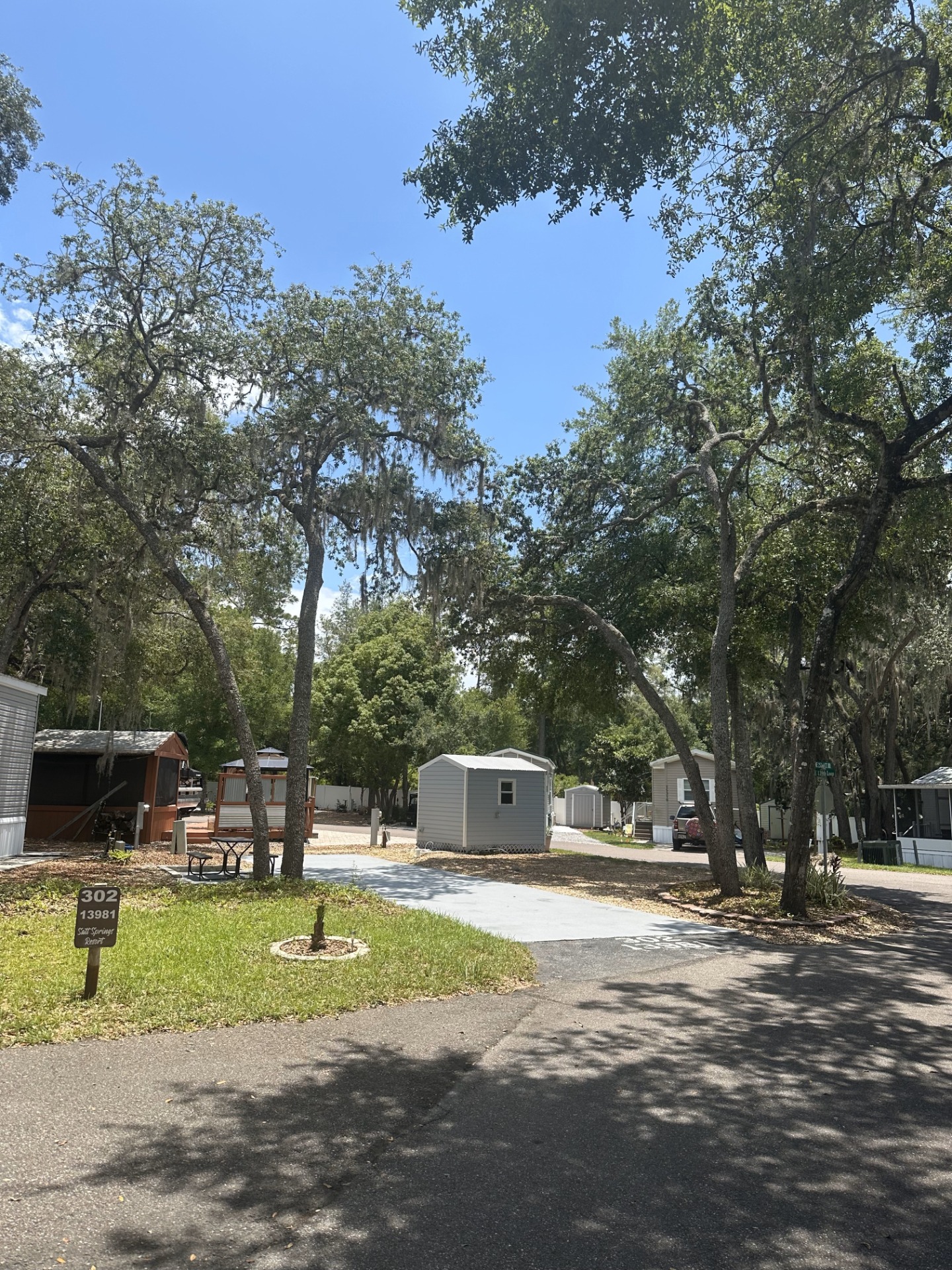 Lot 302