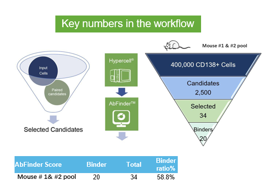 Case Study 2: key numbers