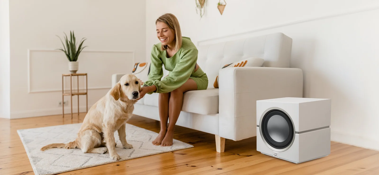 Subwoofers