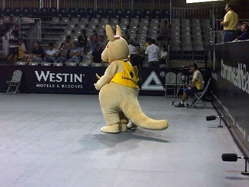 Commonwealth Bank Tournament of Champions - Mascot on court