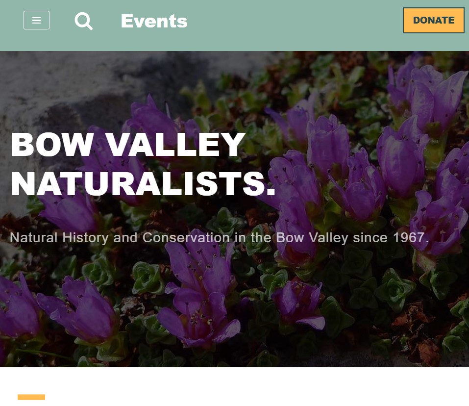 Bow Valley Naturalists