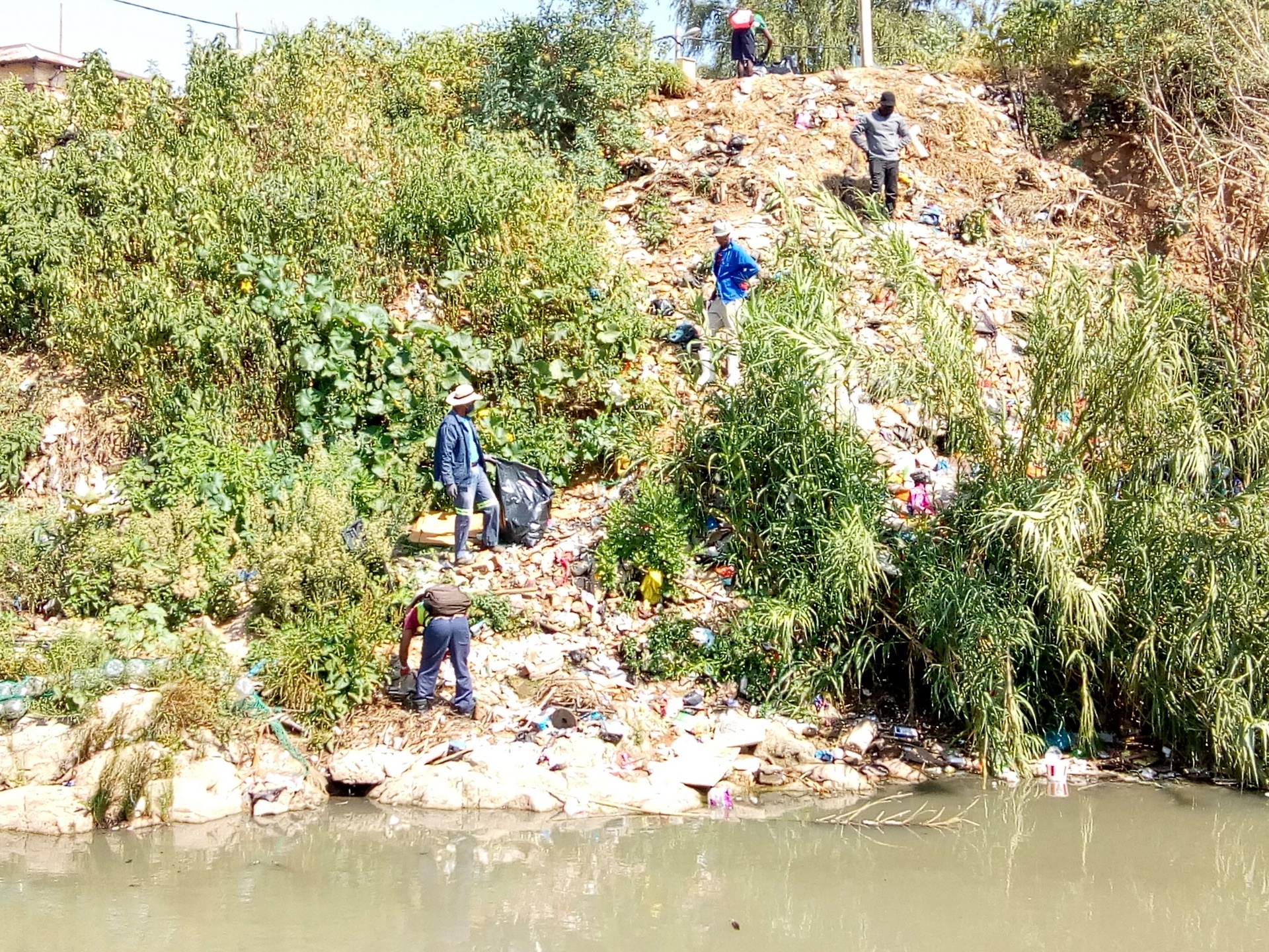 Fighting for a Cleaner Future: Alexandra Water Warriors