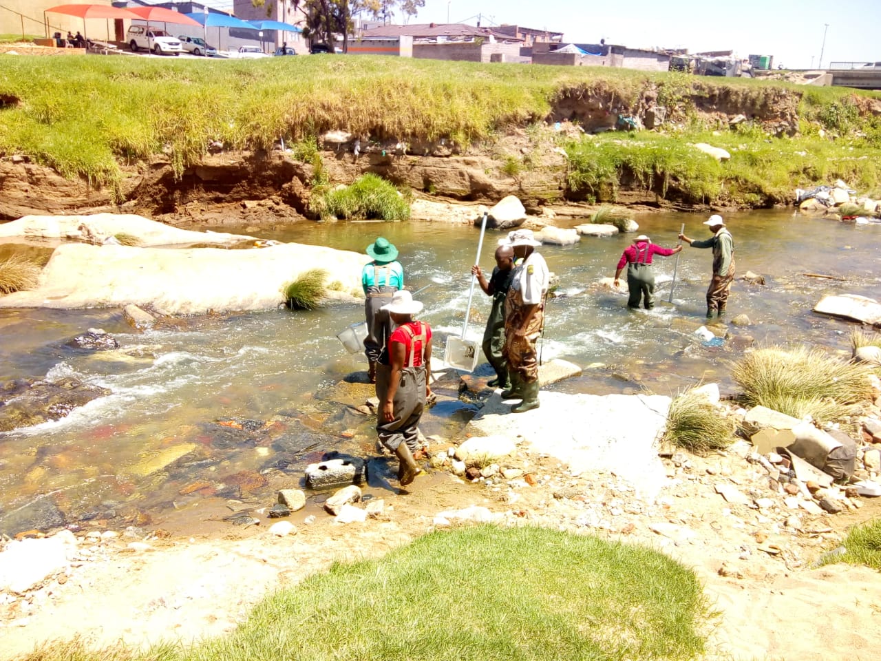 Dedicated to Protecting Our Water: Alexandra Water Warriors