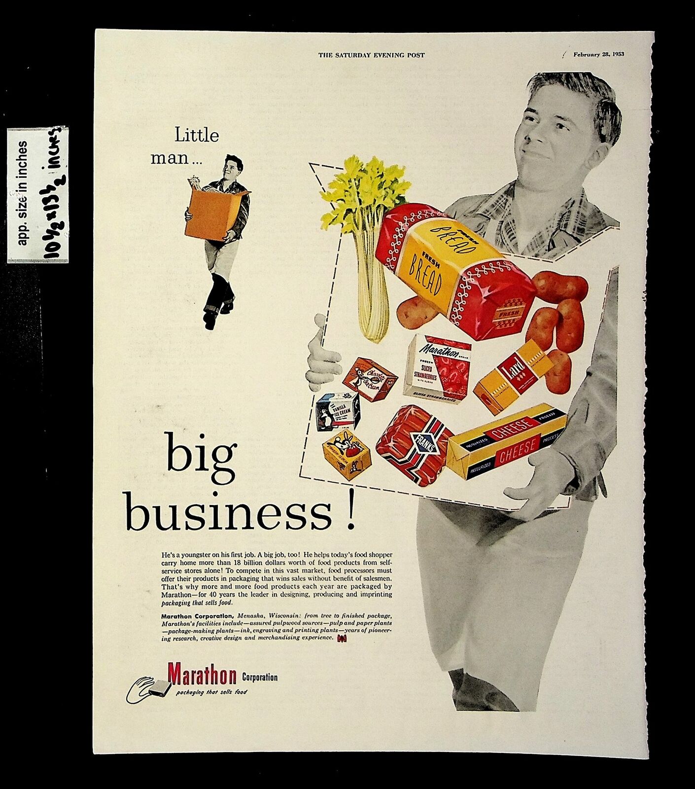Vintage ad showcasing the success of Marathon Paper Company, a major player in the industry in 1953, with artwork likely by John C Howard.