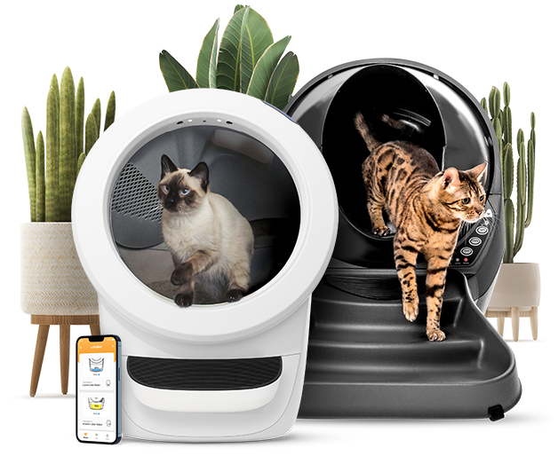 Litter-Robot specialist Nederland