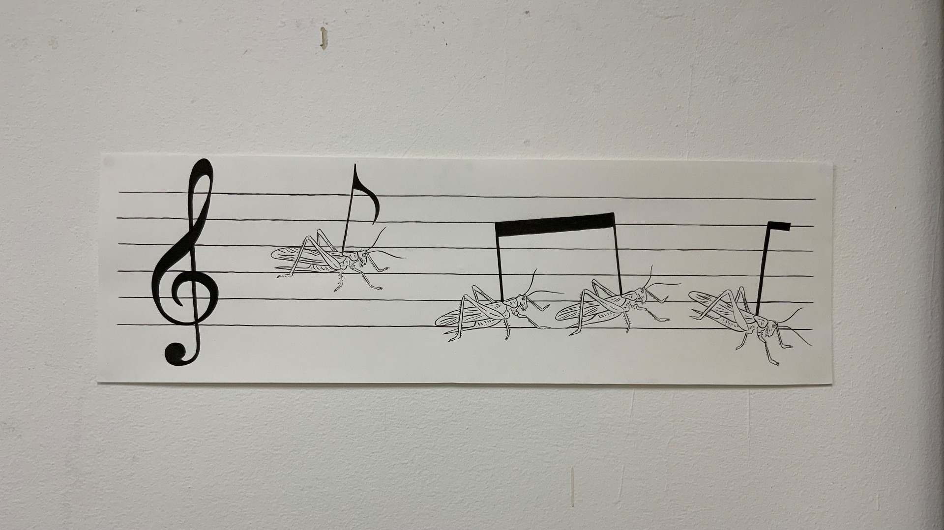 Border Symphony