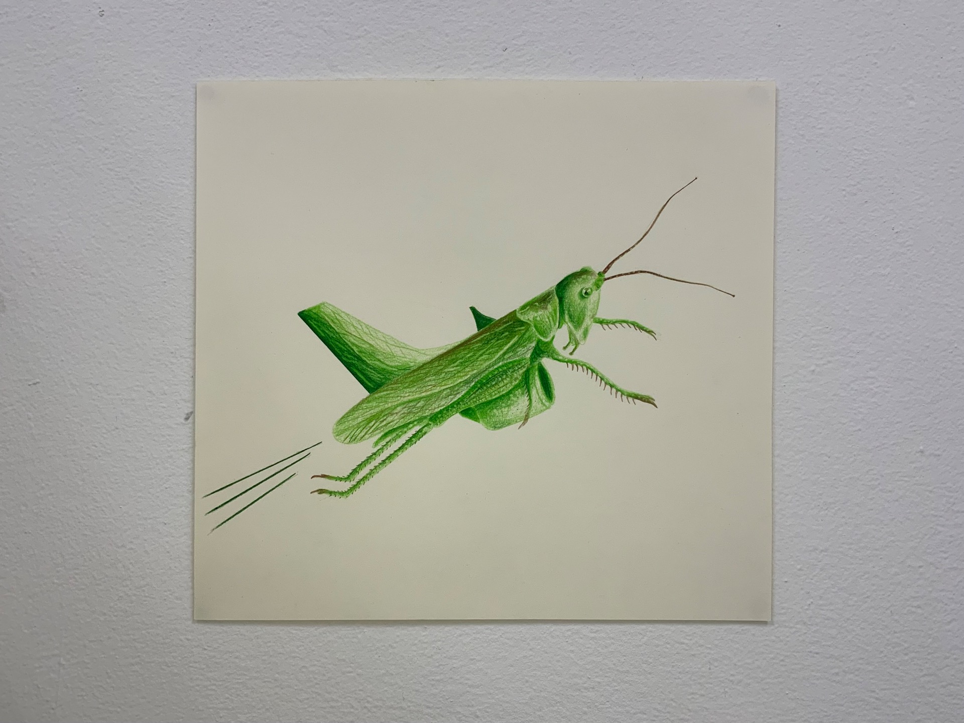 Flying Green