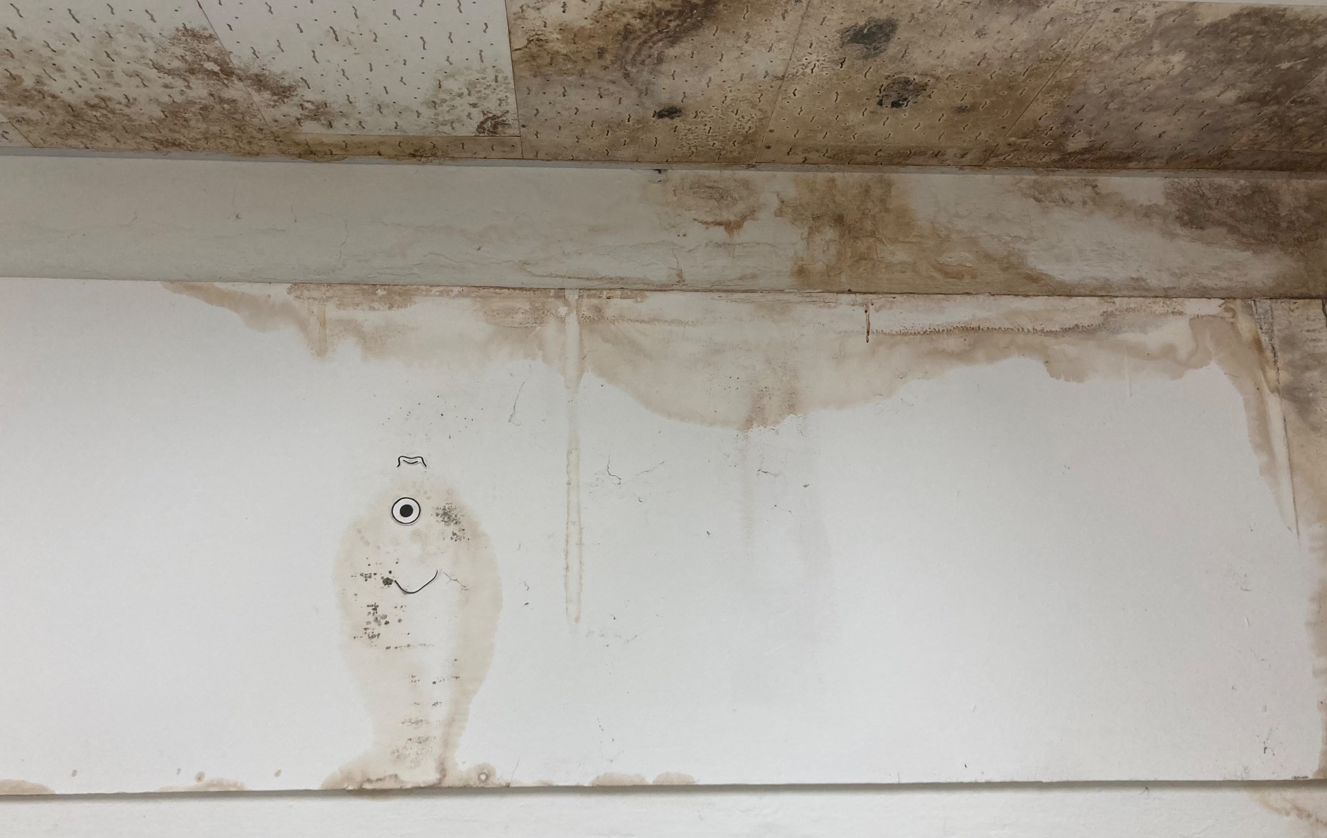 Growing where possible