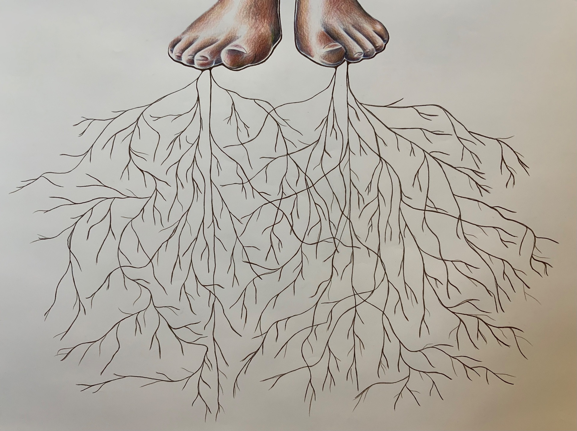 Root Systems