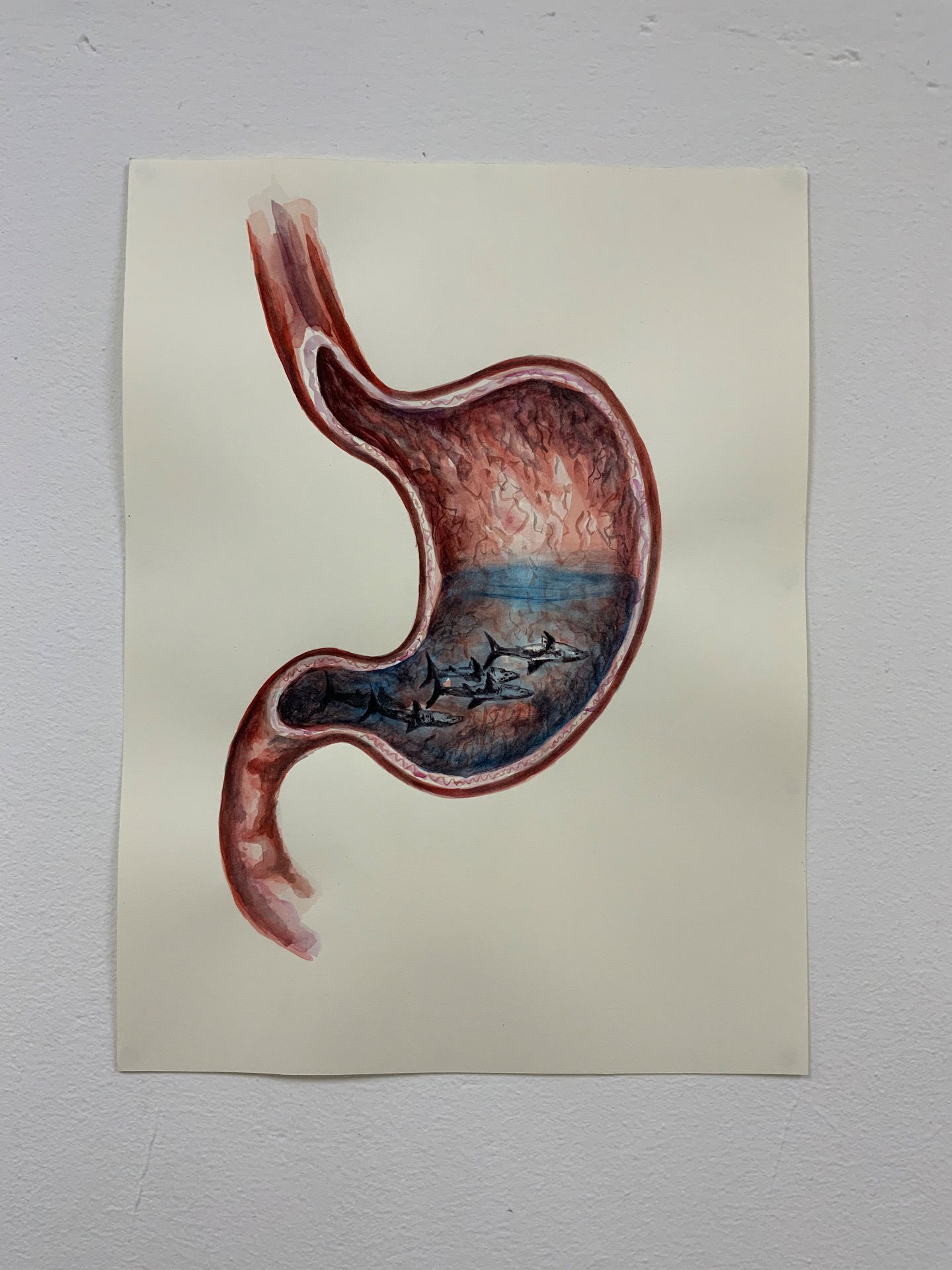 Nutritious Affection