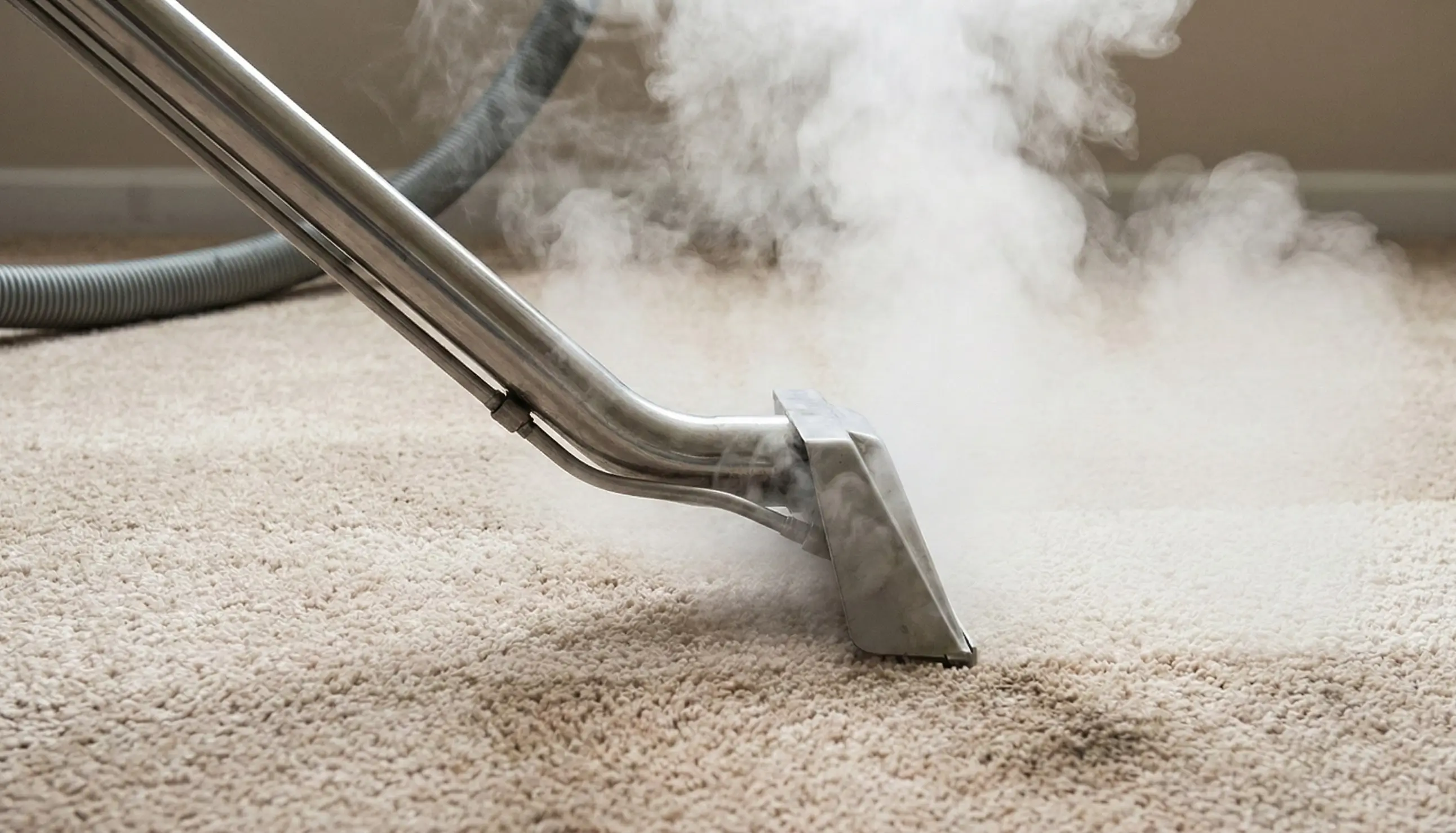 Truck-mounted hot water extraction wand removing deep dirt from residential carpet.