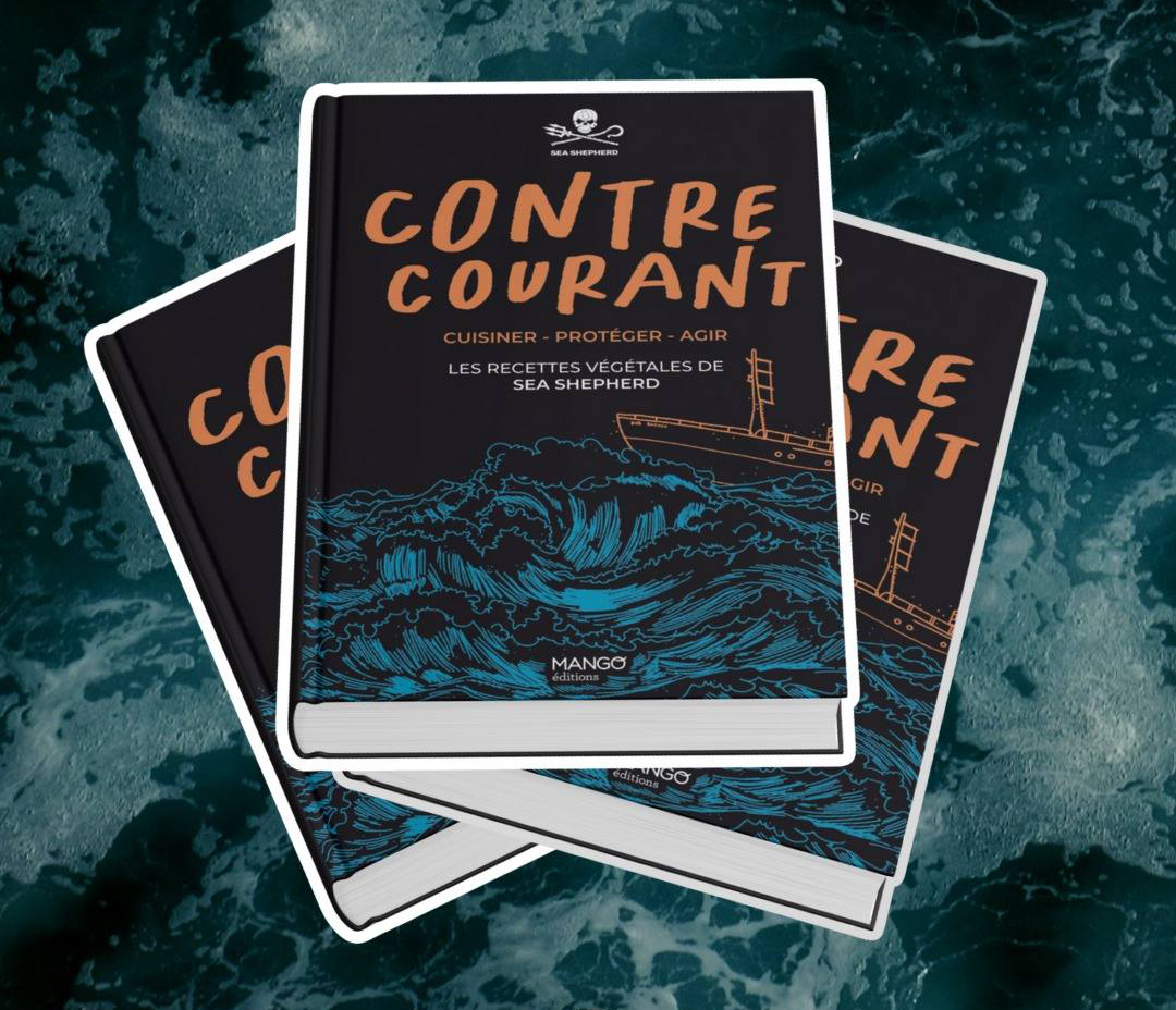 mise en page &amp; illustration